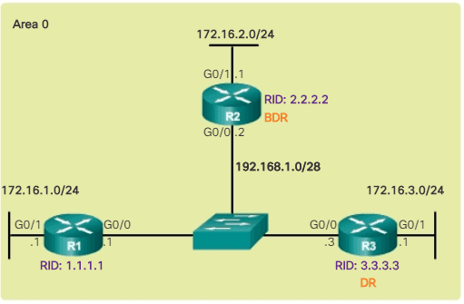 Topología OSPF de referencia de difusión de accesos múltiples