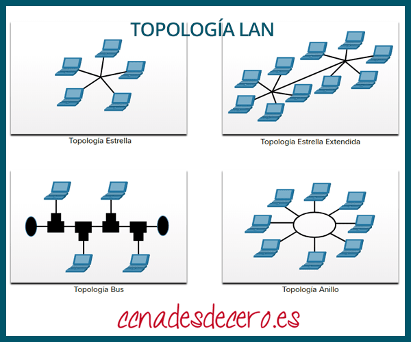 Topolog as De Red LAN Y WAN CCNA Desde Cero Topolog as De Red LAN Y WAN CCNA Desde Cero