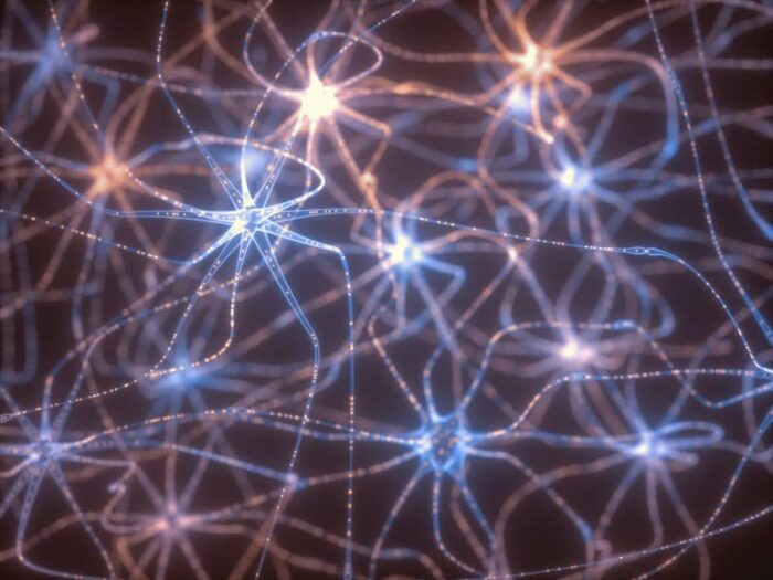 Concepto de Neuronas y Pulsos Eléctricos