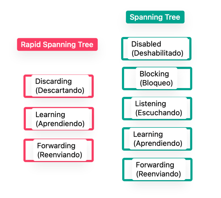 Protocolo RSTP: Resumen Completo de Rapid Spanning Tree » CCNA desde Cero