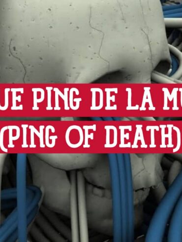 Una calavera enredada en cables de red, con el título 'ATAQUE PING DE LA MUERTE (PING OF DEATH)', simbolizando la saturación de la red.