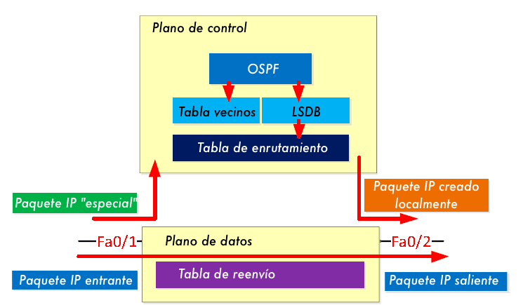 Diagrama que explica el manejo de paquetes especiales por el plano de control en un router, desviándolos del plano de datos.