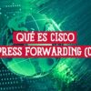 Globo terráqueo sobre un fondo de fibra óptica, ilustrando el concepto de reenvío de datos de Cisco Express Forwarding (CEF).